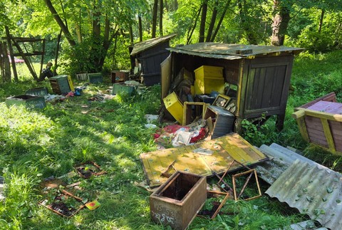 Medveď zničil úle (3)