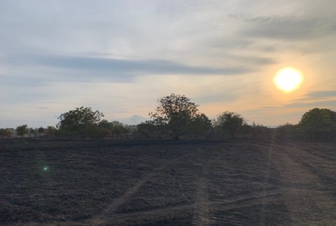 Hasiči zachraňovali státisíce životov. Požiar trávnatého porastu ohrozoval 80 rodín včiel