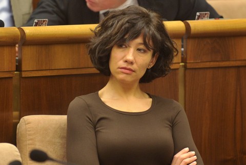 Lucia Nicholsonová NR SR