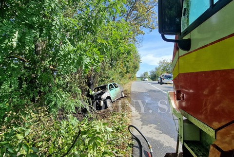 385835111_872154064477925_7194760662656082300_n