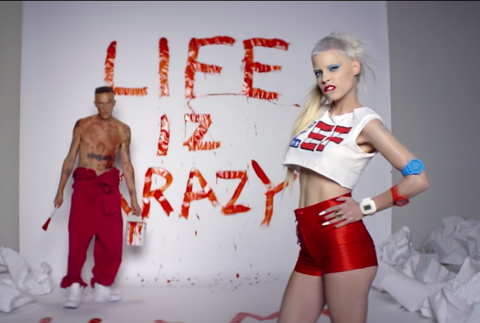 Die Antwoord