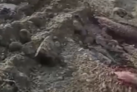 Vyvierajúca krv zo zeme 3