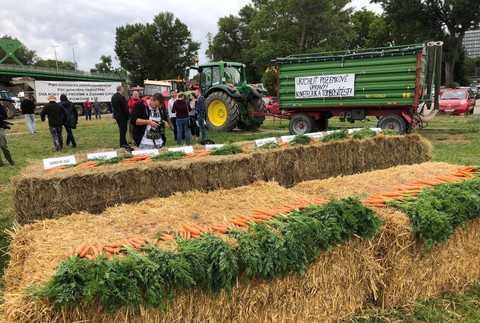 Mrkva na Tyršovom nábreží 