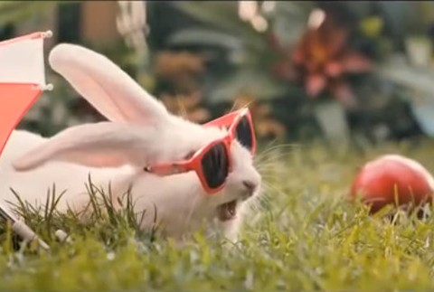 Zvyšovanie pôrodnosti v Poľsku.jpg