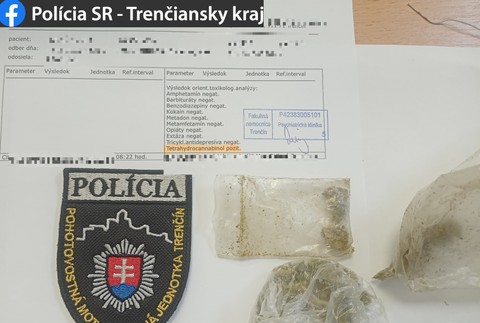 Nadrogovaný vodič tancoval v lese