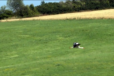 O Vavrincovi nemajú správy už vyše mesiaca. Mohol sa zamotať do káblov alebo ho zastrelili