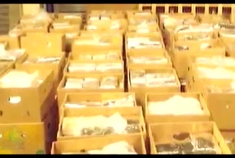 ÚŠP postúpil prípad Antonina Vadalu na NAKA. Ide o podozrenie zo závažnej korupcie