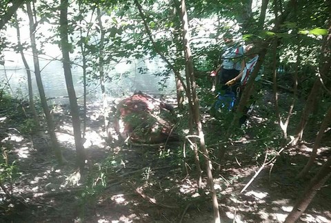 Hasiči zachránili uviaznutú kravu