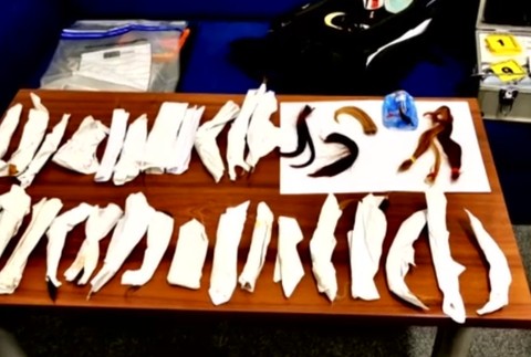 Zákerný "kaderník"