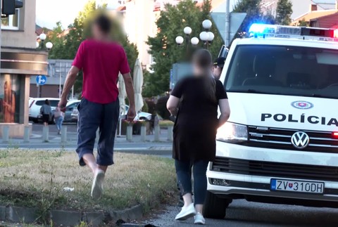 [multi] zv nehoda 1272