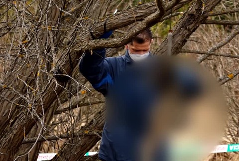 [multi] Obeseny psik 2191