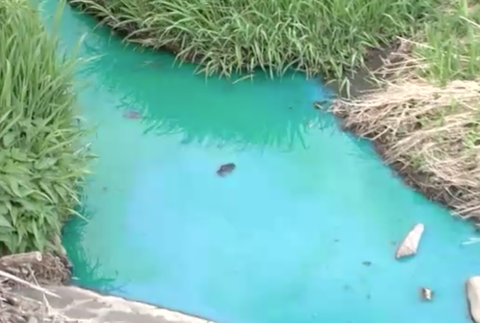 Miestny potok v Žiline dostal zvláštne sfarbenie