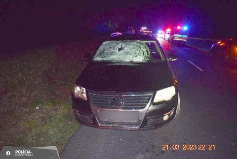 Zrazený chodec, dopravná nehoda (3)