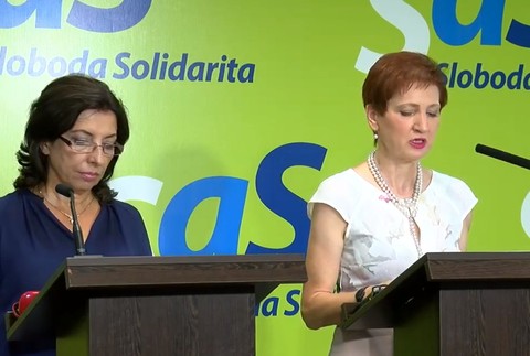 Matečná zlyhala, tvrdí SaS