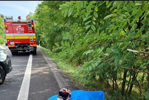 303628447_1502165990205926_7399557078377851102_n