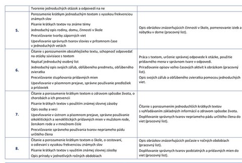 Usmernenie Rómsky jazyk