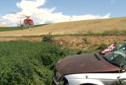 Pri silnom náraze vyvrátilo strom aj s koreňmi