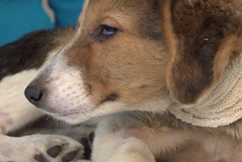 Snímka obrazovky 2024-10-03 173712