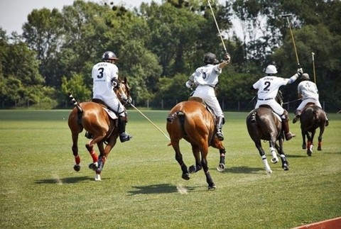 Slovakia Open 2011