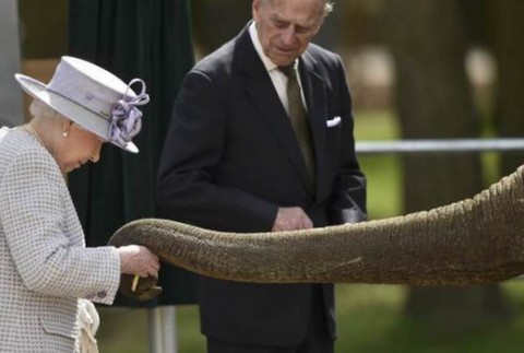 Kráľovná Alžbeta II. v ZOO