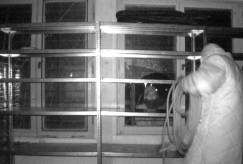 [multi] Vykradnuta elektropredajna 9