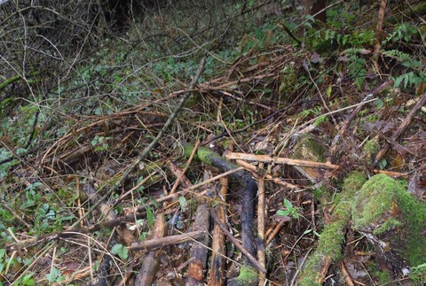 Otrasný nález v lesoch nad Zvolenom: Vyšetrovateľ vzniesol obvinenie pre zločin vraždy