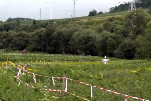 Zapáchajúce plienky ako ochrana. Ľuďom na Orave divá zver ničí úrodu