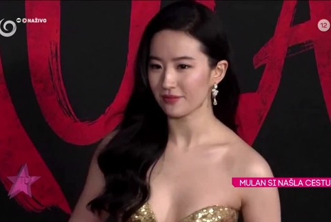 [multi] MULAN SI NAŠLA CESTU 9982