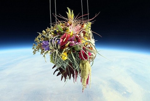 Nádherná kytica vo vesmíre