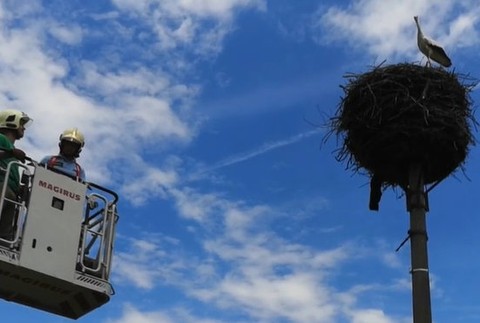 Hasiči pomáhali bocianovi.