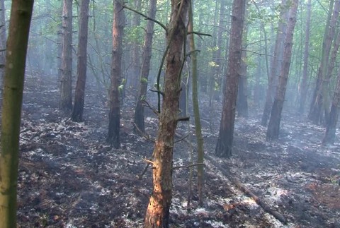 požiar v Čachticiach4384