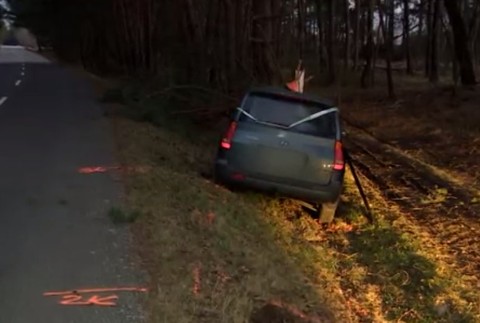 Vodič narazil do stromu pri ceste
