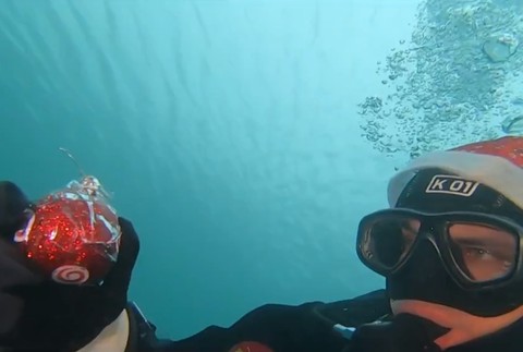 Ryby oslávia Vianoce. Podvodný svet nezostal bez stromčeka