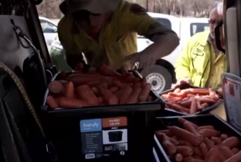 Nový fond na obnovu po požiaroch