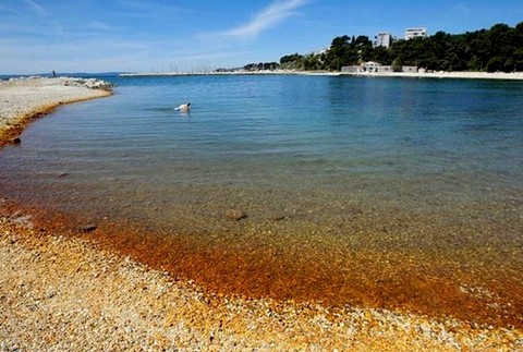 Červené more Split