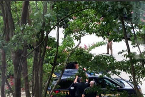 Streľba The Capital