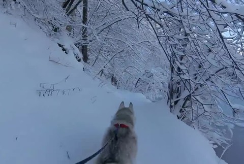 Plitvické jazerá v zime6172