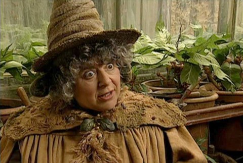 miriam margolyes