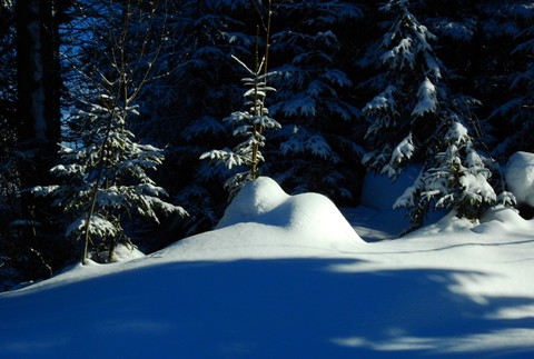 Zasnežená krajinka v Tatrách