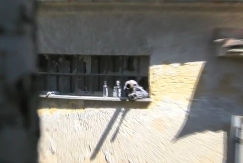 Namiesto radovánok poriadna hanba.