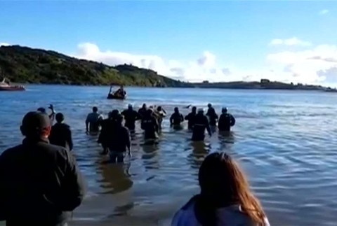 V Čile vyslobodili uviaznutú veľrybu50