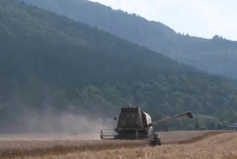 Extrémne suchá pociťujú aj v najchladnejšom kúte Slovenska. So žatvou začali na Orave o 3 týždne skôr