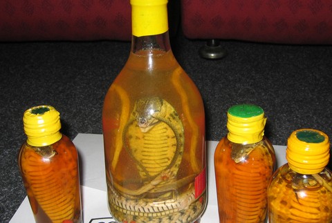 Exemplár colníci zabavenie had