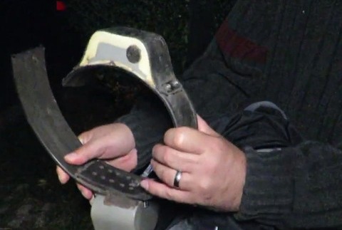 Medveďovi Žigovi odobrali obojok