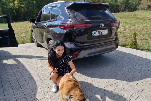 IMG-71f1b906d6d317492d53e2616cc8c823-V