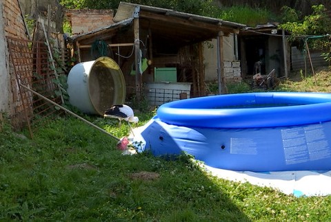 bocian pri svojom bazéne