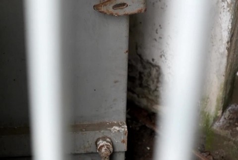 [multi] Ojedinelý prípad zvrhlej vraždy 2757