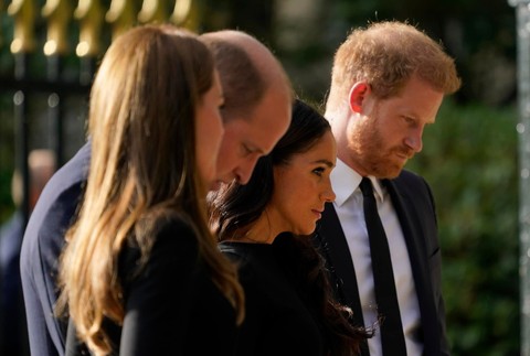 William a Harry s manželkami