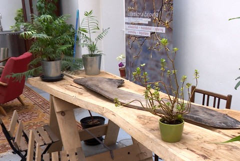 Nedarí sa vám pestovať rastliny? V Starej tržnici pre ne zriadili útulok