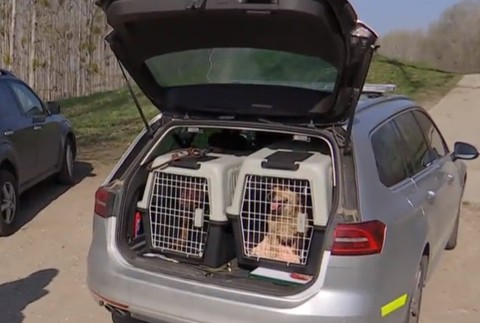 Dôchodcovia už ani neverili, že verného priateľa nájdu. Csöpiho im priniesol na rukách záchranár